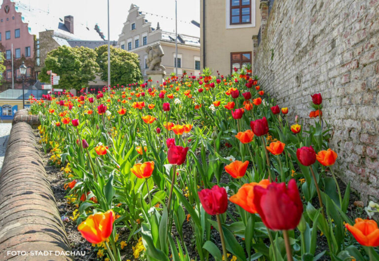 dachau-altstadt-1024x707