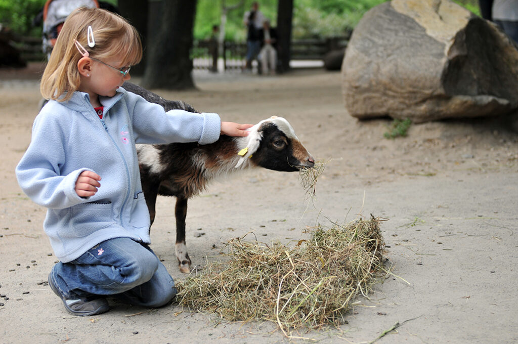 Tierpark Hellabrunn